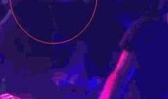 成都最新爆料新闻酒吧视频,视频揭露惊人一幕！