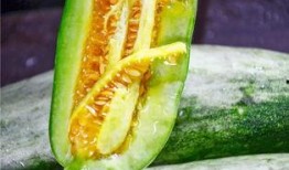 网红旅游吃瓜,美食瓜果香——探寻热门旅游地的独特风味